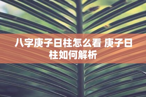 八字庚子日柱怎么看 庚子日柱如何解析