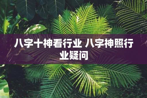 八字十神看行业 八字神照行业疑问