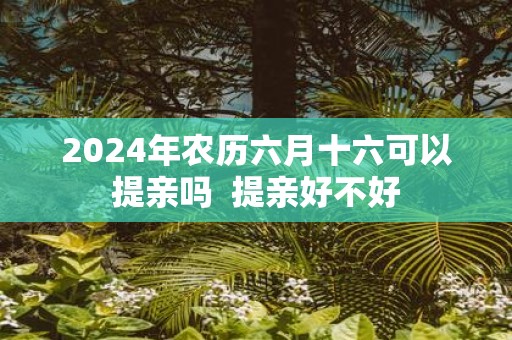 2025年农历六月十六可以提亲吗 提亲好不好