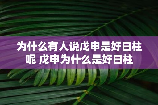 为什么有人说戊申是好日柱呢 戊申为什么是好日柱