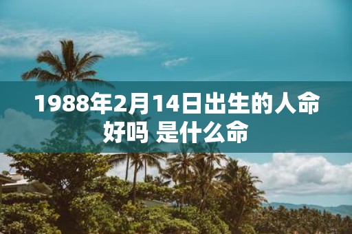 1988年2月14日出生的人命好吗 是什么命