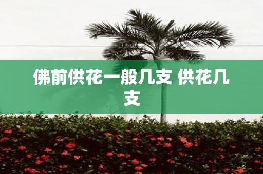 佛前供花一般几支 供花几支