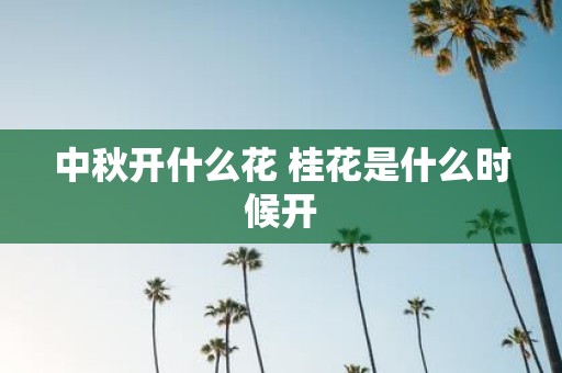 中秋开什么花 桂花是什么时候开