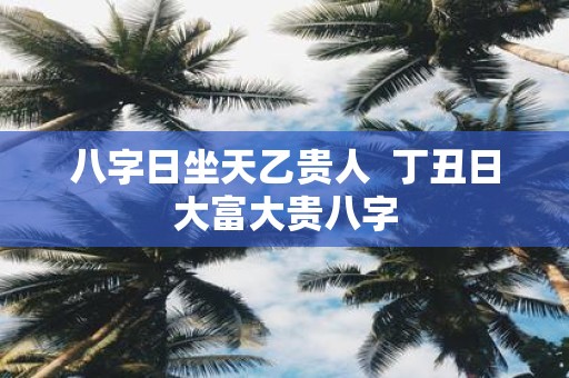 八字日坐天乙贵人 丁丑日大富大贵八字