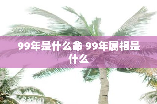99年是什么命 99年属相是什么
