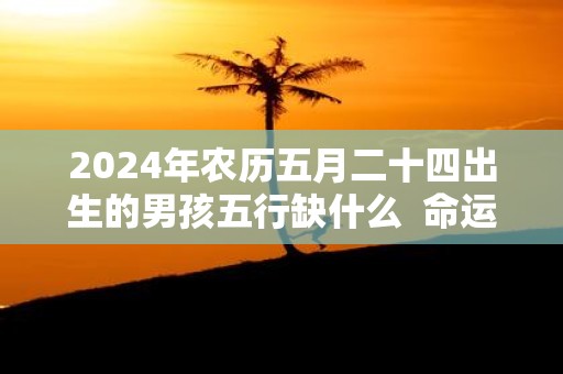 2025年农历五月二十四出生的男孩五行缺什么 命运分析