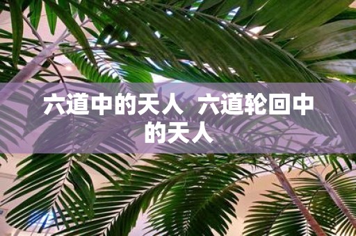 六道中的天人 六道轮回中的天人