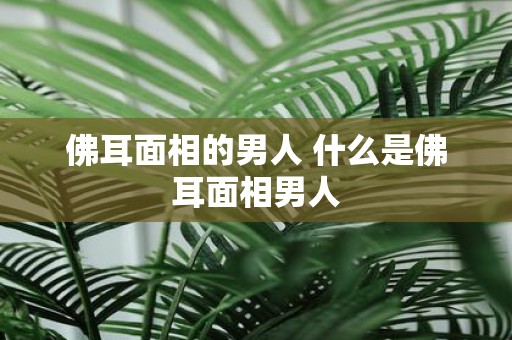 佛耳面相的男人 什么是佛耳面相男人