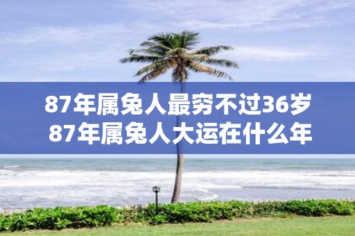 87年属兔人最穷不过36岁 87年属兔人大运在什么年
