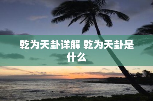 乾为天卦详解 乾为天卦是什么