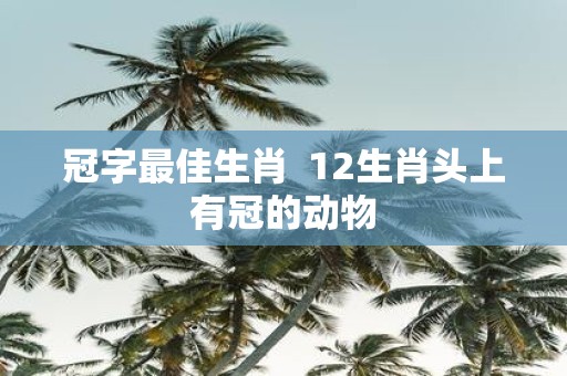 冠字最佳生肖 12生肖头上有冠的动物