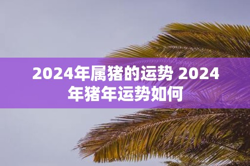 2025年属猪的运势 2025年猪年运势如何
