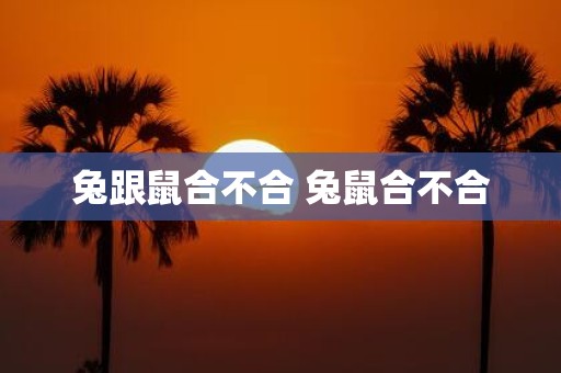 兔跟鼠合不合 兔鼠合不合