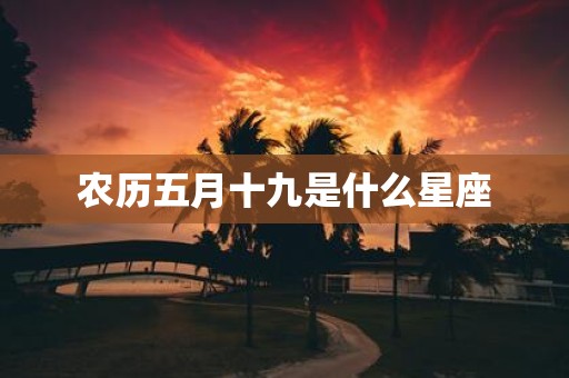 农历五月十九是什么星座