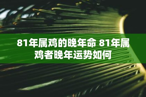 81年属鸡的晚年命 81年属鸡者晚年运势如何