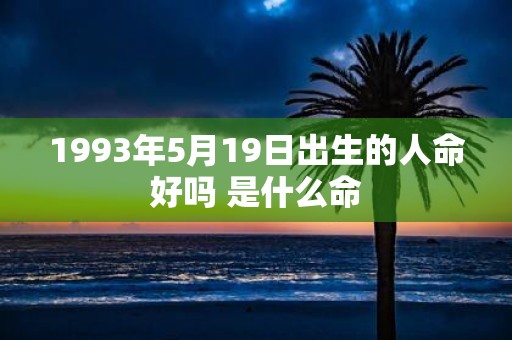 1993年5月19日出生的人命好吗 是什么命