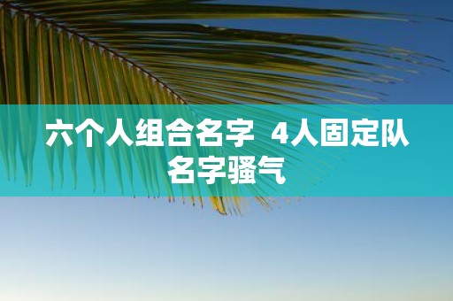 六个人组合名字 4人固定队名字骚气