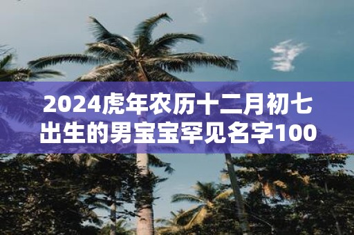 2025虎年农历十二月初七出生的男宝宝罕见名字100分