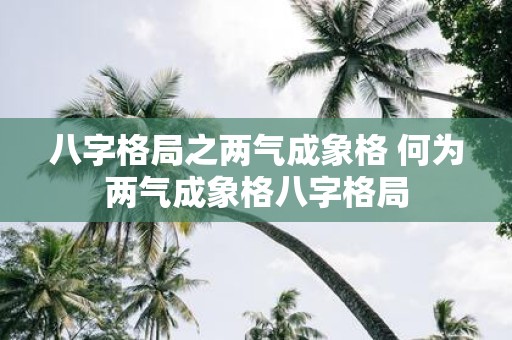 八字格局之两气成象格 何为两气成象格八字格局