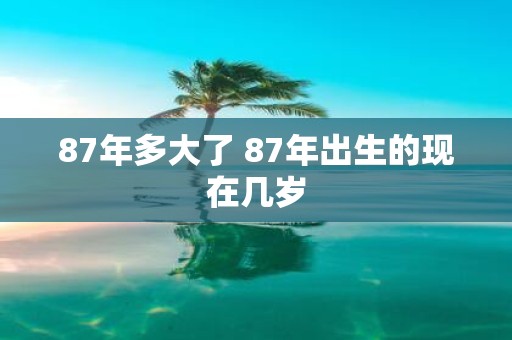 87年多大了 87年出生的现在几岁