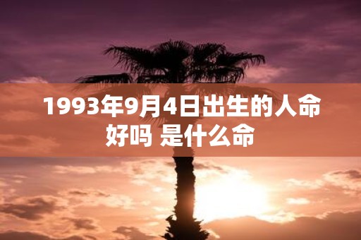 1993年9月4日出生的人命好吗 是什么命