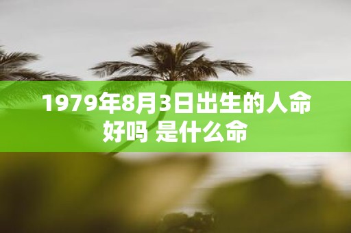 1979年8月3日出生的人命好吗 是什么命