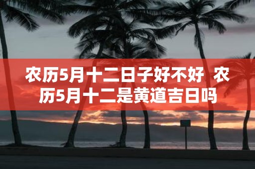 农历5月十二日子好不好 农历5月十二是黄道吉日吗