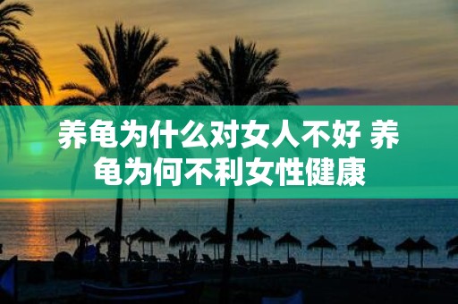 养龟为什么对女人不好 养龟为何不利女性健康
