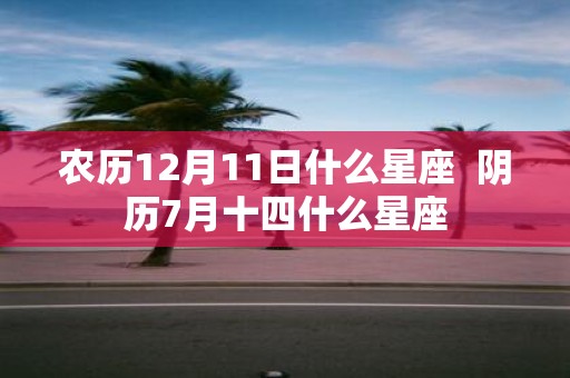农历12月11日什么星座 阴历7月十四什么星座