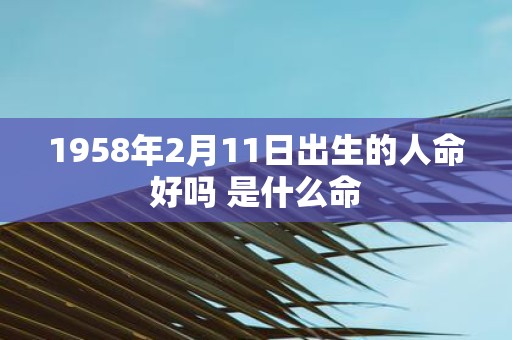 1958年2月11日出生的人命好吗 是什么命