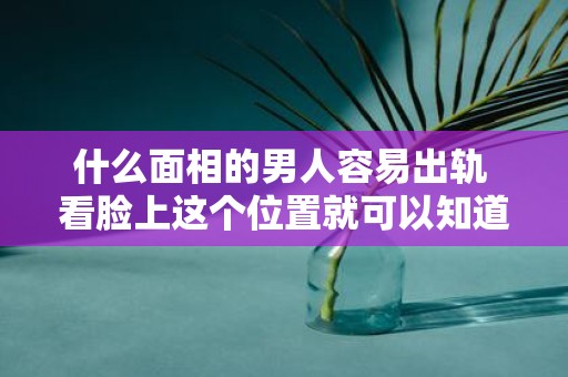 什么面相的男人容易出轨 看脸上这个位置就可以知道