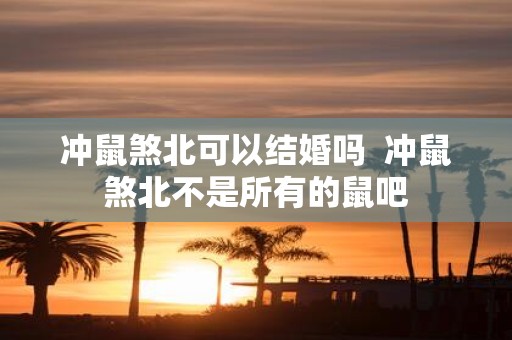 冲鼠煞北可以结婚吗 冲鼠煞北不是所有的鼠吧
