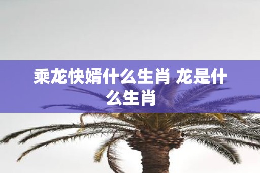 乘龙快婿什么生肖 龙是什么生肖
