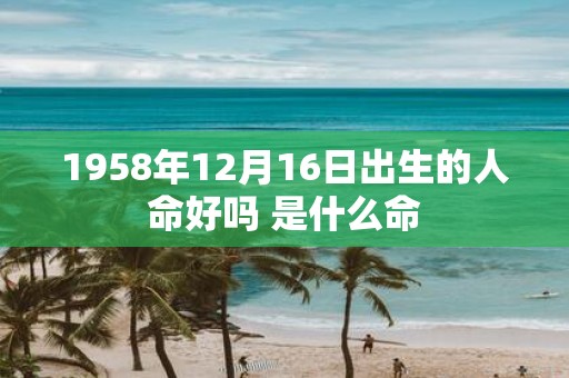 1958年12月16日出生的人命好吗 是什么命
