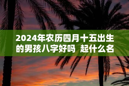2025年农历四月十五出生的男孩八字好吗 起什么名字比较好
