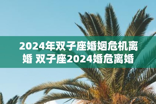 2025年双子座婚姻危机离婚 双子座2025婚危离婚