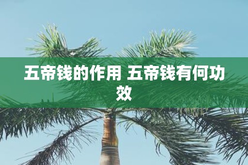 五帝钱的作用 五帝钱有何功效
