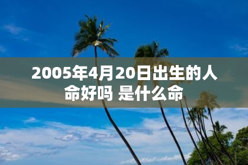 2005年4月20日出生的人命好吗 是什么命