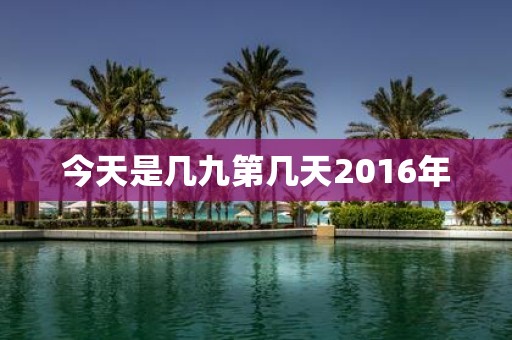 今天是几九第几天2016年