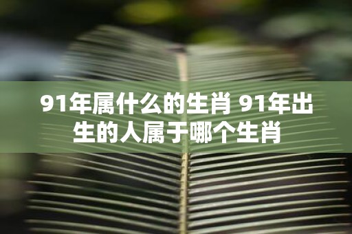 91年属什么的生肖 91年出生的人属于哪个生肖