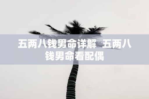 五两八钱男命详解 五两八钱男命看配偶