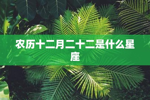 农历十二月二十二是什么星座
