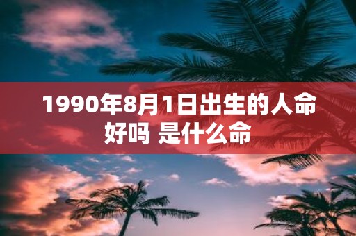 1990年8月1日出生的人命好吗 是什么命