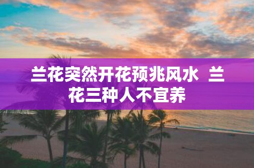 兰花突然开花预兆风水 兰花三种人不宜养