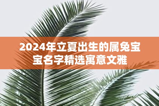 2025年立夏出生的属兔宝宝名字精选寓意文雅