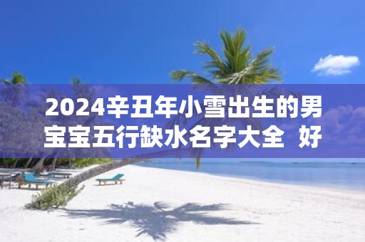 2025辛丑年小雪出生的男宝宝五行缺水名字大全 好听简单