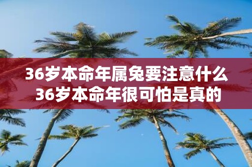 36岁本命年属兔要注意什么 36岁本命年很可怕是真的吗