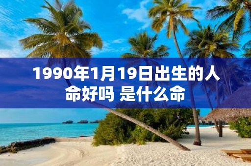 1990年1月19日出生的人命好吗 是什么命