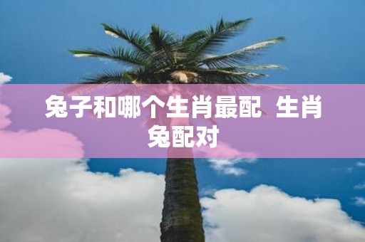 兔子和哪个生肖最配 生肖兔配对