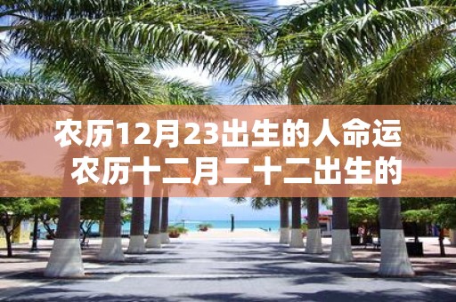 农历12月23出生的人命运 农历十二月二十二出生的命运
